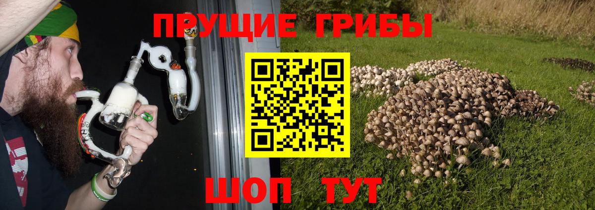 купить наркоту  Вход с VPN  Реутов  Псилоцибиновые грибы Magic Shrooms 